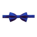 Blue Herringbone Woven Bowtie