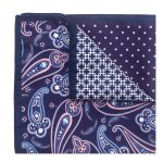 4-in-1 Navy Blue and Pink Print Woven Pocket Square