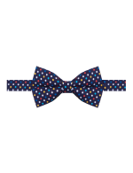 Multi Colour Polka Dot Navy Blue Print Woven Bowtie