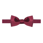 Solid Wine and Navy Blue Reversible Woven Self-Tie Bowtie